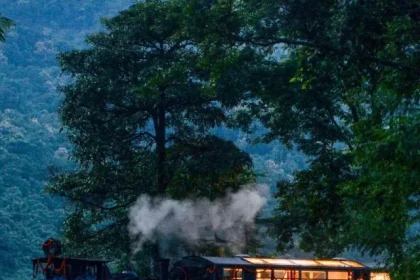 darjeeling toy train